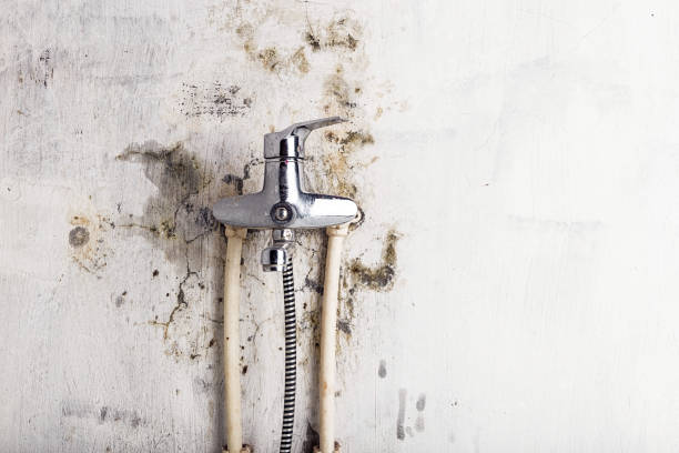 Water Damage Restoration in Central Islip, NY