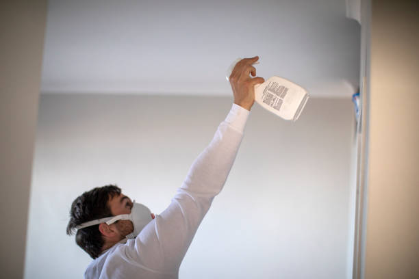 Best Black Mold Removal  in Central Islip, NY